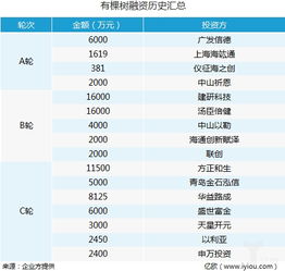跨境电商有棵树获近4亿元C轮融资,将建设全球商品流通网络
