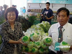 台湾云林县长被检方拘提 疑似涉及收贿500万元
