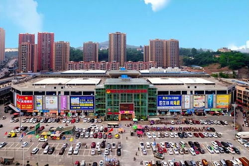 危机升级 俄印贸易结算变革与中国机遇