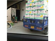 保健品源头厂家商品服务与报价详情